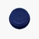 SK 60/31 Gasketed Locking Blue Cap