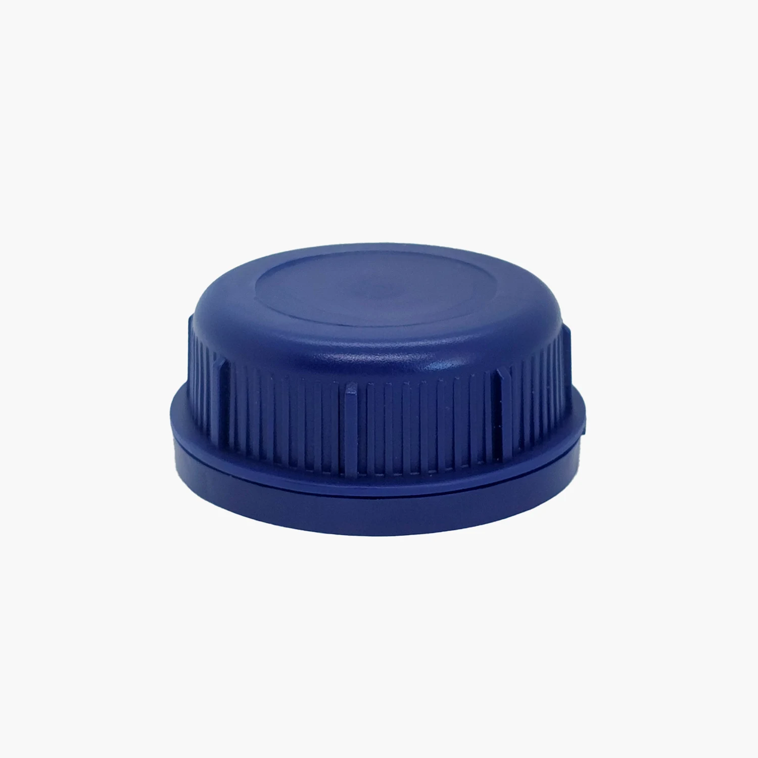 SK 60/31 Bouchon Bleu avec Joint et Verrouillage SK 60/31 Bouchon Bleu avec Joint et Verrouillage