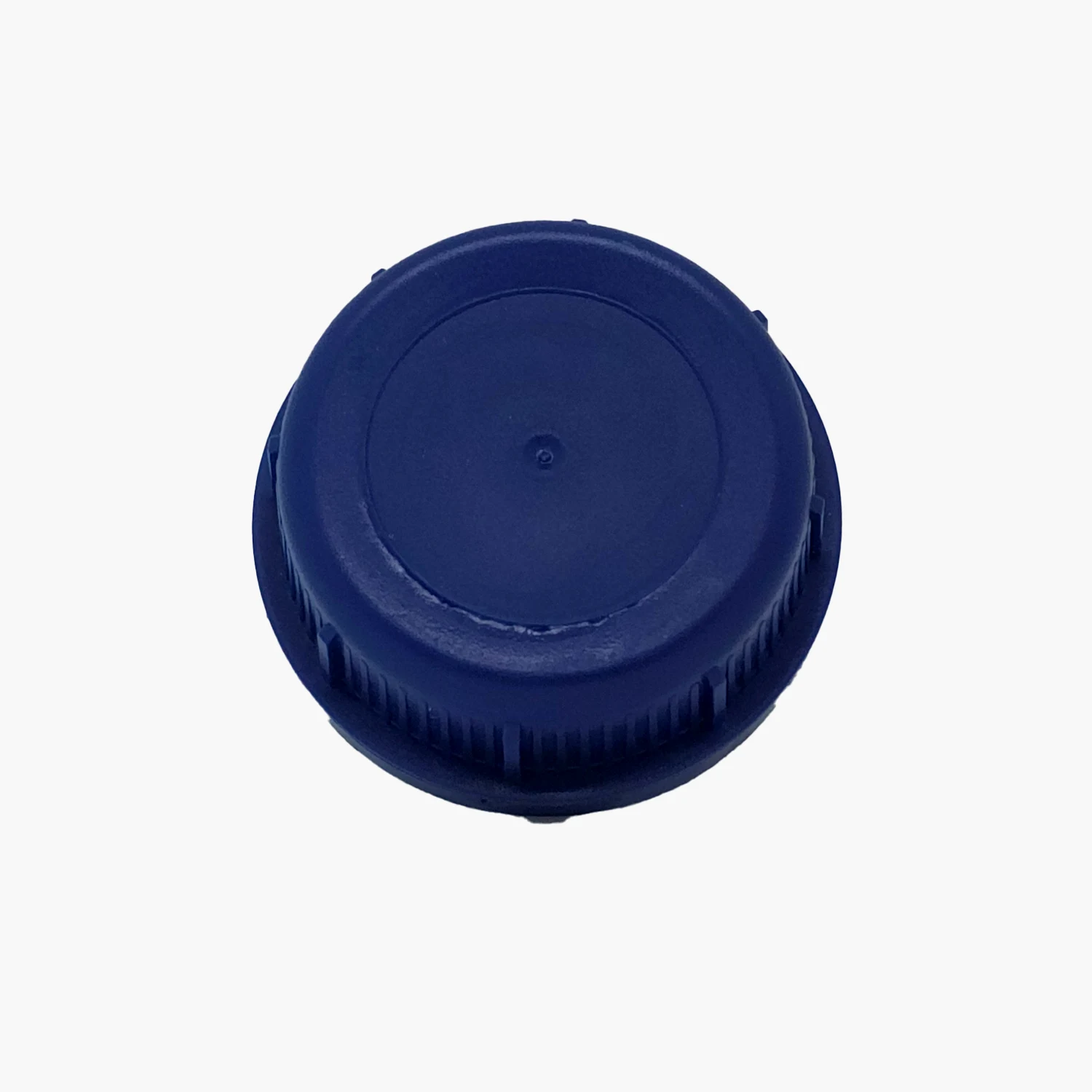 SK 60/31 Bouchon Bleu avec Joint et Verrouillage SK 60/31 Bouchon Bleu avec Joint et Verrouillage