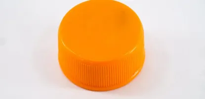 Kapaklarda renk çeşitliliği ne işe yarar?